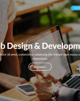 Web Development WordPress Theme