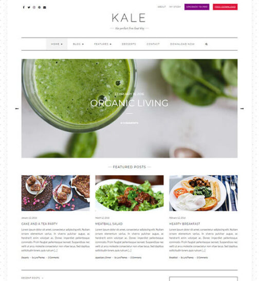 Kale - Image 4