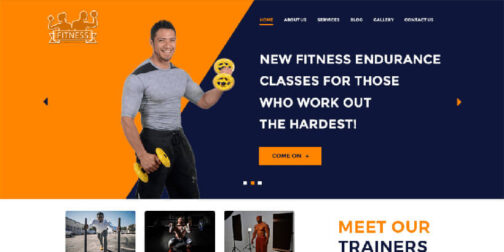 The WP Fitness - Image 2