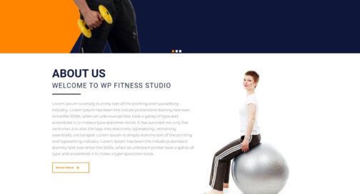 The WP Fitness - Image 4